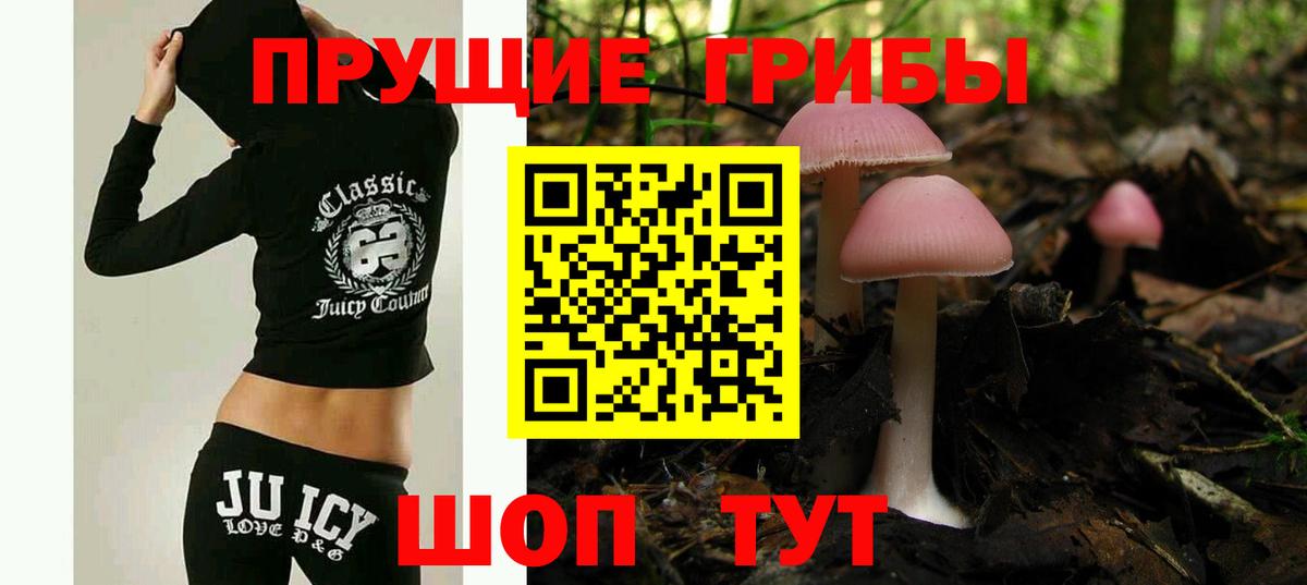 Псилоцибиновые грибы прущие грибы Нурлат