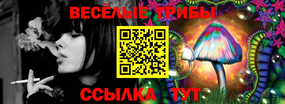 Псилоцибиновые грибы прущие грибы  Псилоцибиновые грибы мухоморы  Нурлат  как найти закладки  Вход с VPN 